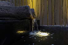 �Ͼ��������ɭ��